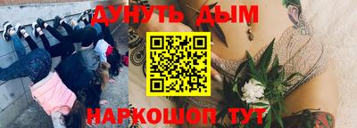 спиды Камышлов