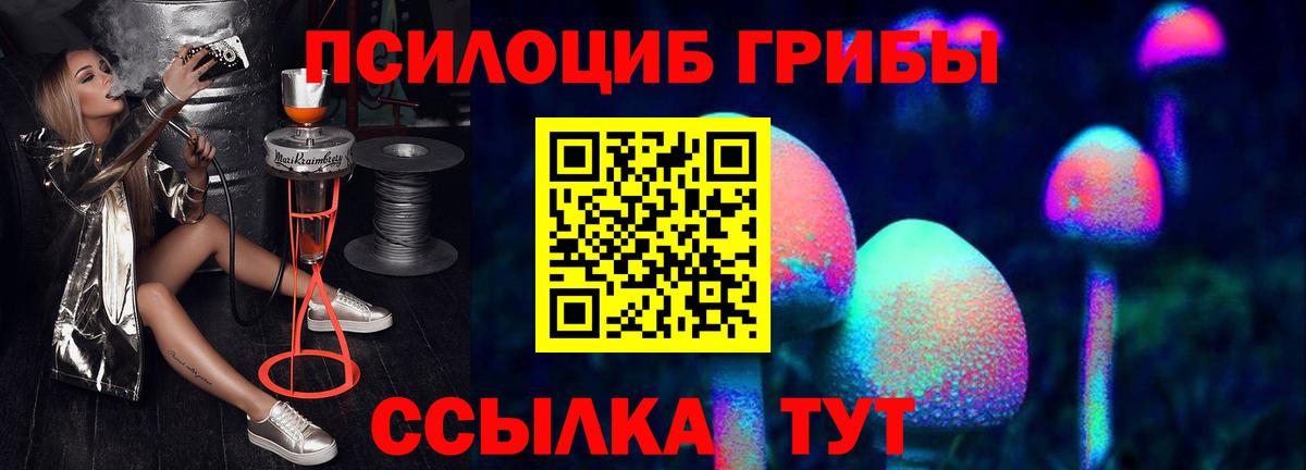Кыштым  где можно купить   Вход с VPN  Галлюциногенные грибы MAGIC MUSHROOMS 